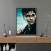 Malowanie Po Numerach Zestaw Harry Potter i Różdżka 40x50